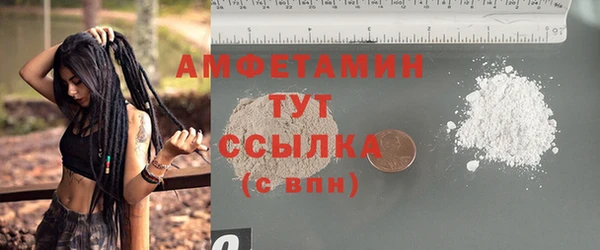 ECSTASY Бородино