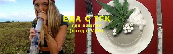 ECSTASY Бородино