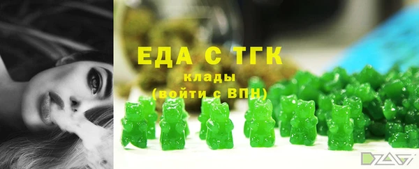 ECSTASY Бородино