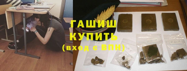 ECSTASY Бородино
