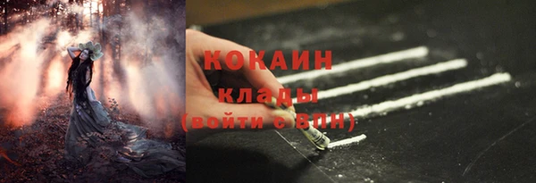 ECSTASY Бородино