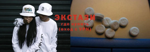 ECSTASY Бородино