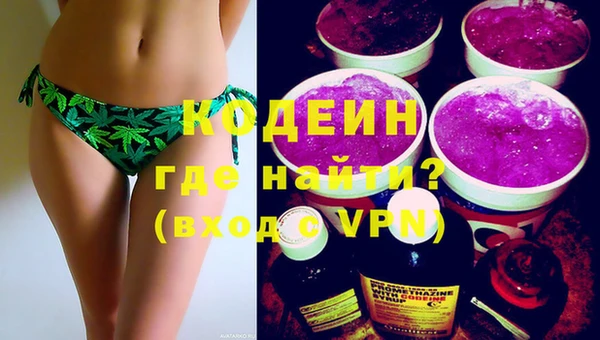 ECSTASY Бородино