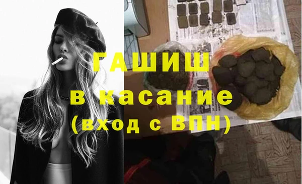 ECSTASY Бородино