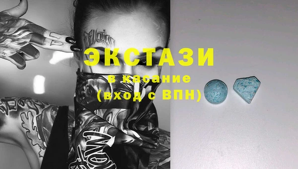 ECSTASY Бородино
