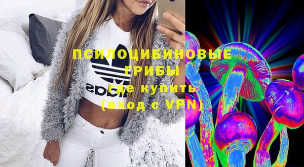ECSTASY Бородино