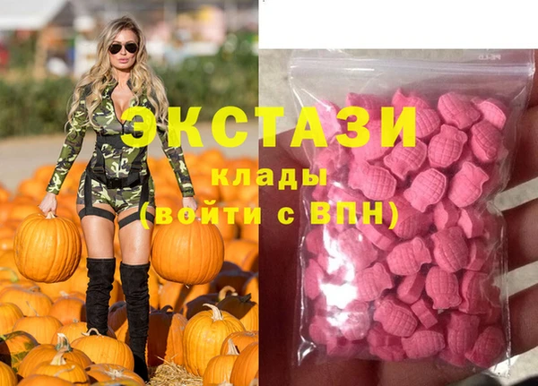 ECSTASY Бородино