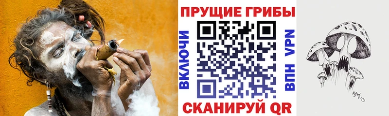 блэк спрут ссылки  Кинель  Псилоцибиновые грибы мухоморы 